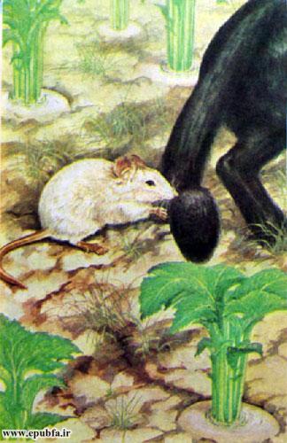 همه باهم کمک کردند.